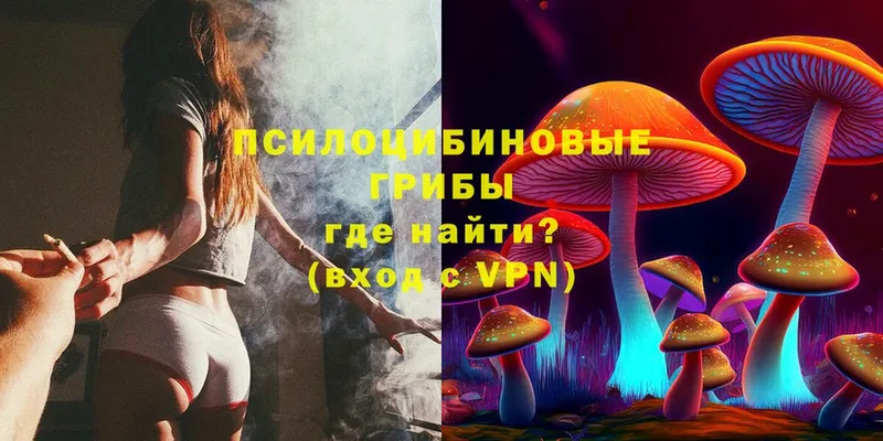 Галлюциногенные грибы Magic Shrooms  Калачинск 